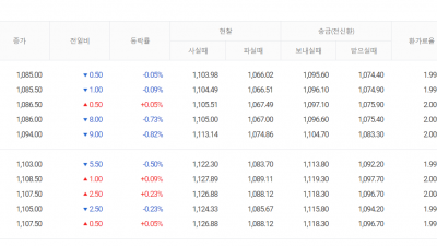 환율 1100원을 깨고 1123원까지...