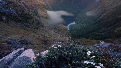 Elysium , A frosty morning Fiordland, New Zealand