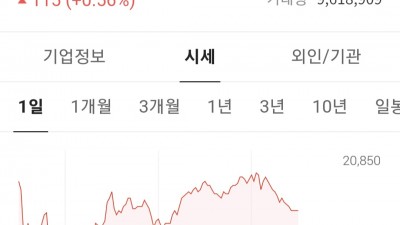 Kodex 레버리지 vs kodex선물200 인버스 2X