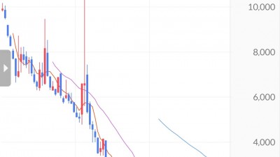 신한 인버스 2X 다우존스지수 선물 ETN(H)